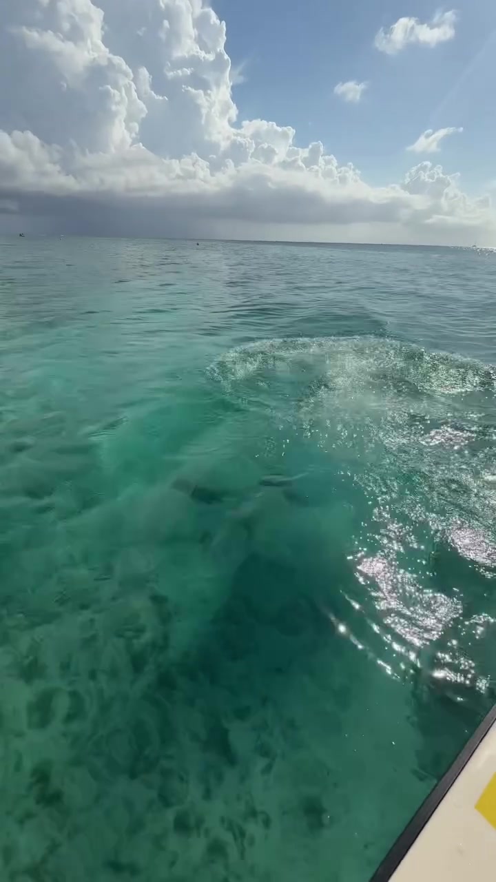 🤩😘早早开启假期模式！乔治娇妻晒两人海边度假照🌞