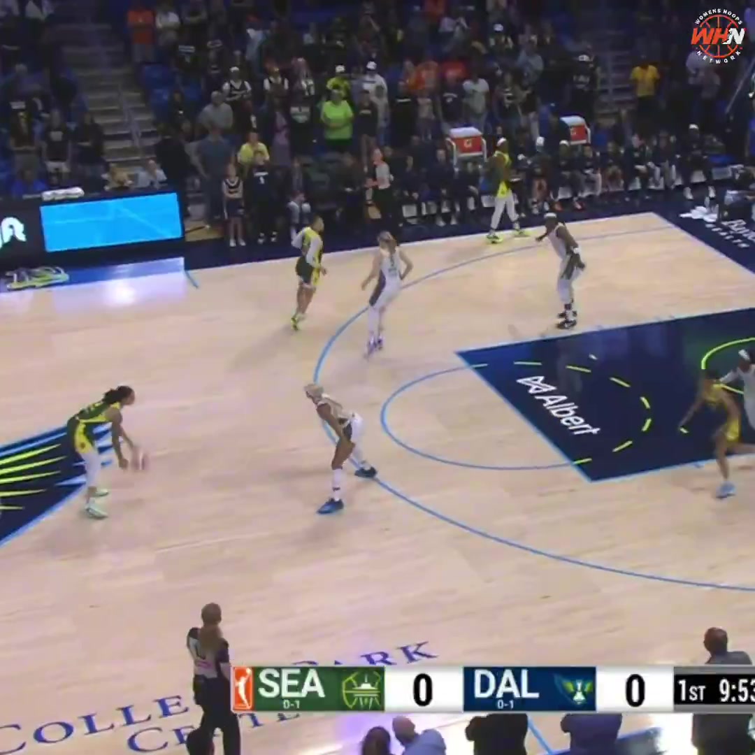 飞翼不敌风暴:状元佩奇19分5板8助 奥古米克23+19&李月汝手感不佳